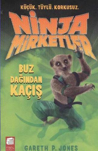 Ninja Mirketler -3 Buz Dağından Kaçış %10 indirimli Gareth P. Jones