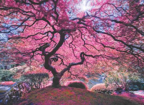 Pink Tree (Puzzle 1000) 1037