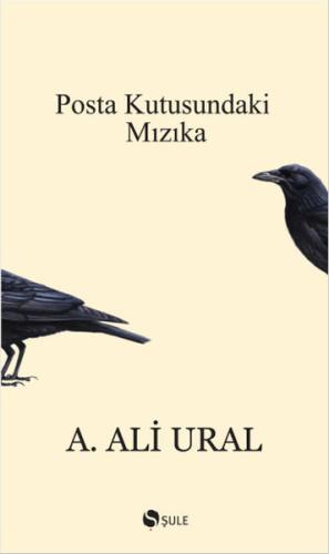 Posta Kutusundaki Mızıka (Özel Baskı) A. Ali Ural