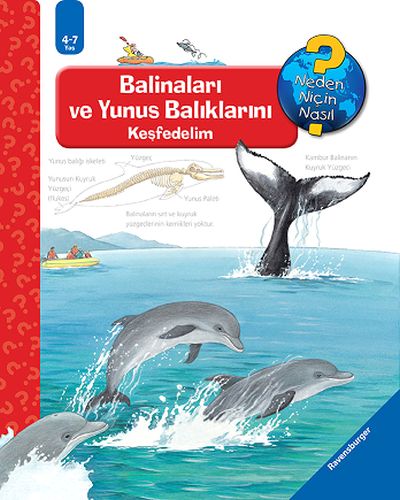 Ravensburger Maksi Balinaları ve Yunus Balıklarını Keşfedelim %20 indi