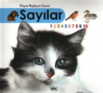 Sayılar (Kitap + İnteraktif CDRom) (Ciltli) Kolektif