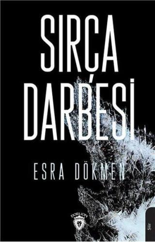 Sırça Darbesi %25 indirimli Esra Dökmen