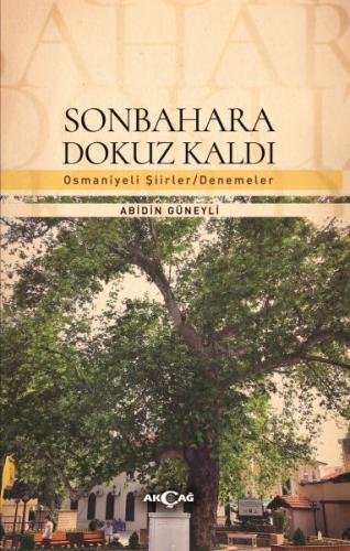 Sonbahara Dokuz Kaldı %15 indirimli Abidin Güneyli