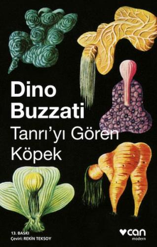 Tanrıyı Gören Köpek %15 indirimli Dino Buzzati