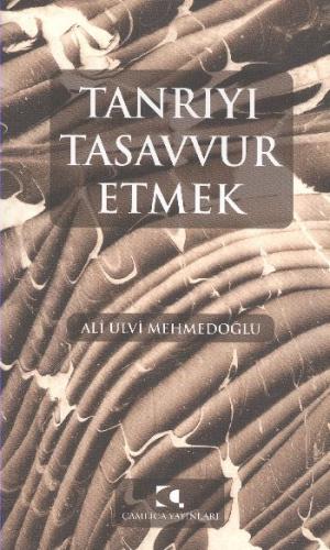 Tanrıyı Tasavvur Etmek Ali Ulvi Mehmedoğlu