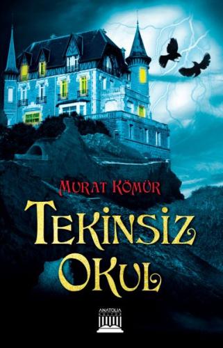 Tekinsiz Okul Murat Kömür