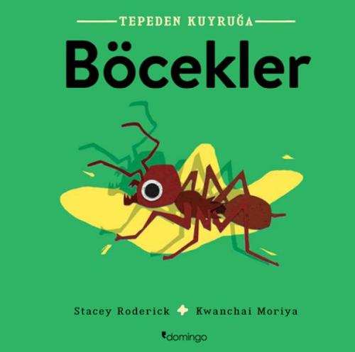 Tepeden Kuyruğa - Böcekler %17 indirimli Stacey Roderick