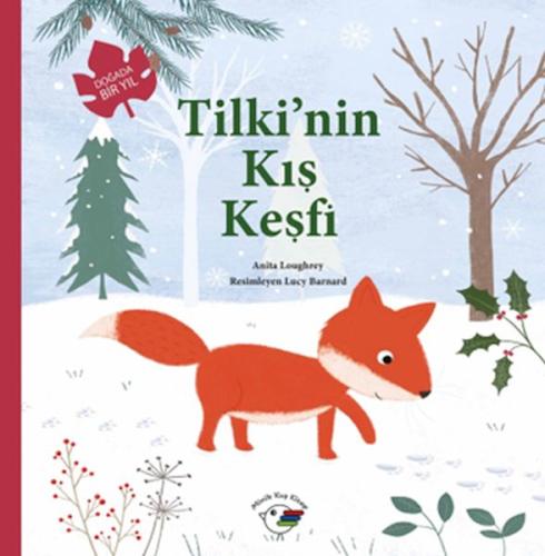 Tilki’nin Kış Keşfi – Doğada Bir Yıl Anita Loughrey