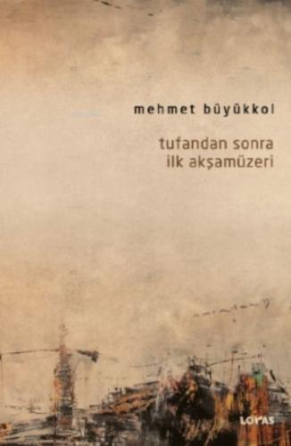 Tufandan Sonra İlk Akşamüzeri %17 indirimli Mehmet Büyükkol