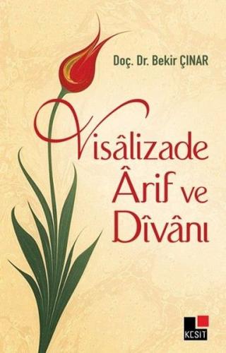 Visalizade Arif ve Divanı %8 indirimli Bekir Çınar