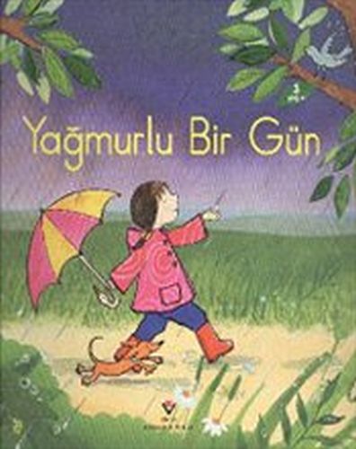 Yağmurlu Bir Gün Anna Milbourne