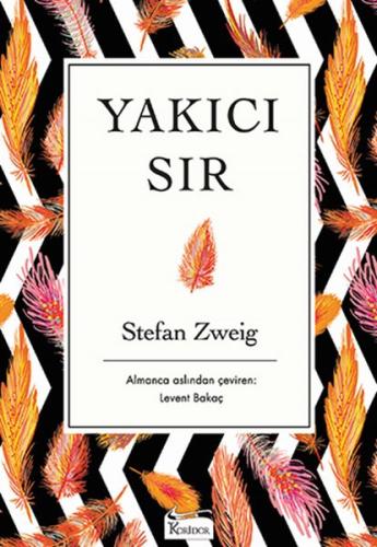 Yakıcı Sır (Bez Ciltli) %25 indirimli Stefan Zweig