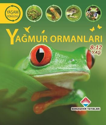 Yaşam Döngüsü - Yağmur Ormanları (8-12 Ages) Sean Callery