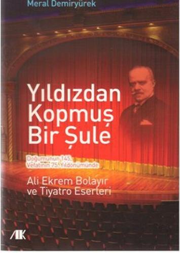 Yıldızdan Kopmuş Bir Şule Meral Demiryürek